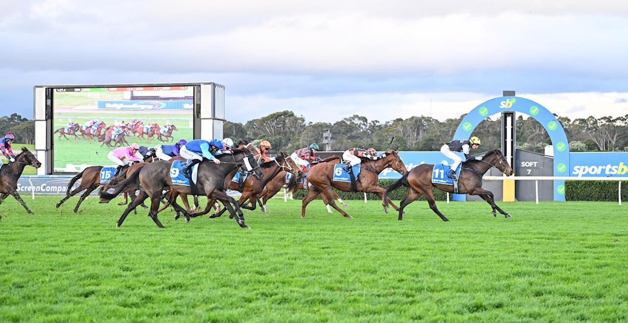 Celestial Zara - Sandown 19th August 2026